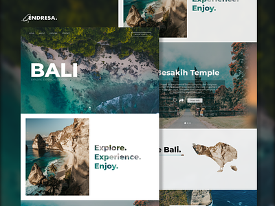 Travel website design concept
