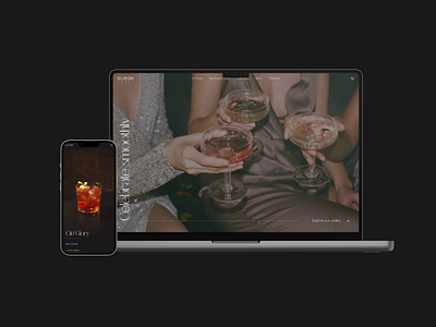 Luxury Vodka Website Design
