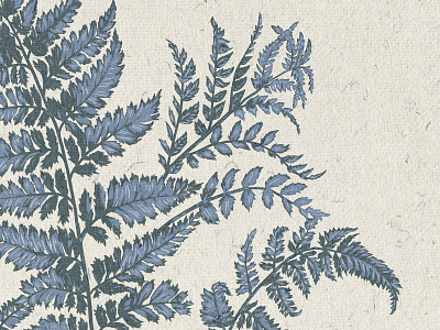 Botanical Illustration #2 blue botanical drawing fern floral illustration leaf paper texture
