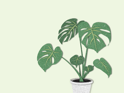 Monstera Plant cut paper green illustrator monstera nature paper photoshop plant texture