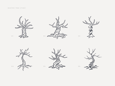 Rooted Tree Logo Study branding logo rooted sketch sketches tree tree branding tree logo twisted tree