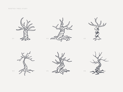 Rooted Tree Logo Study