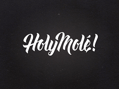 Holy Molé! black brush holy molé pen script texture type typography white