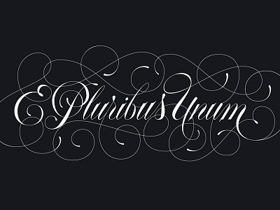 E Pluribus Unum america e flourishes ligatures pluribus script spencerian type typography usa