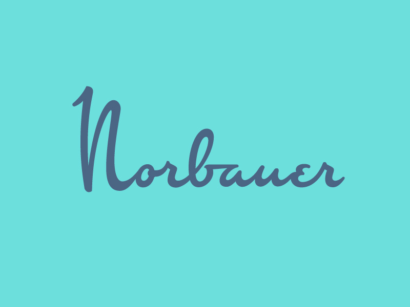 Norbauer Logotype type typography lettering industrial design midcenturymodern script wordmark logotype logo norbauer