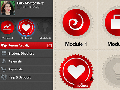 Nutrition App Interface app badge button classes drawer icon ios ipad learning metal module nutrition texture