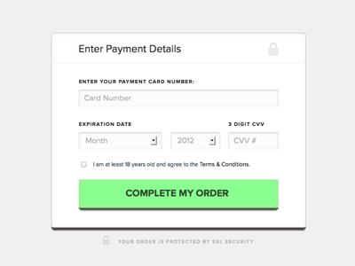CSS Payment Form