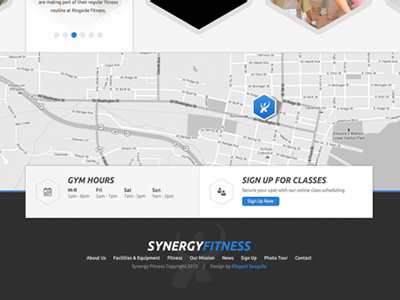 Synergy Fitness Footer design elegant seagulls type typography web website