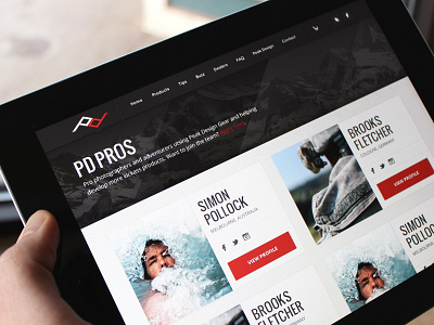 PD Pros design elegant seagulls texture type typography web website
