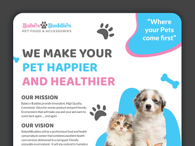 Babes n Buddies branding design graphic design ui