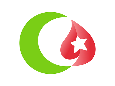 Lailah a c crescent islam leaf logo star store