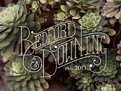 B&D (V2) design graphic identity lettering logo shop typography