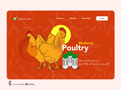 Illustration and website UI design branding illustration poultry ui design website