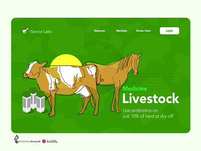 Illustration and website UI design branding illustration livestock ui design
