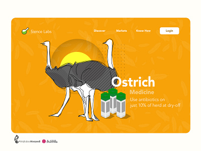 Illustration and website UI design branding ostrich ui design website