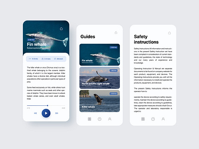 Whales of Iceland app design development graphic design illustration ui ux