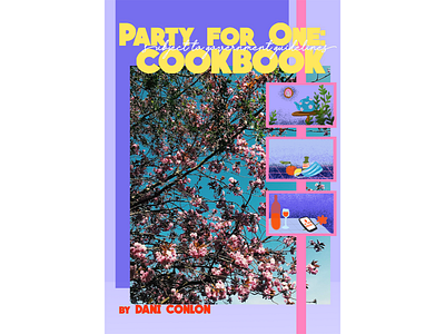 dani cookbook freelance piece book cover book design graphic design