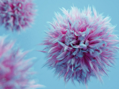 Hair test 3d b3d blender fluffy hair hair ball particle system render