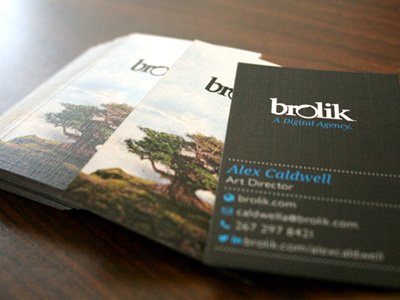 Brolik Business Cards brolik business cards linen paper