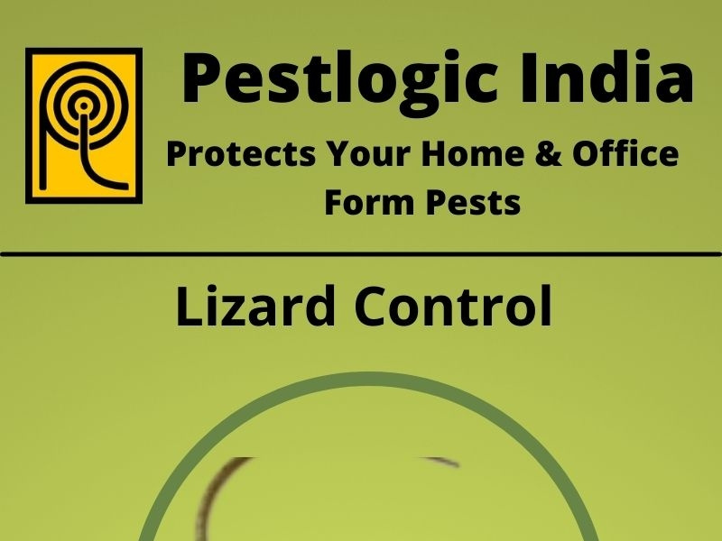 Mosquitoes Control in chandigarh Pestlogic India by pest logic on