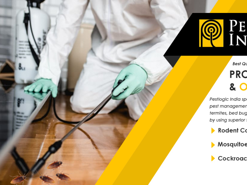 Termite Control in Chandigarh Pestlogic India by pest logic on Dribbble