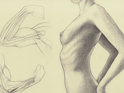 Sketching anatomy drawing sketch