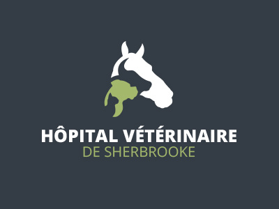Hôpital Vétérinaire cat cow dog horse hospital vet
