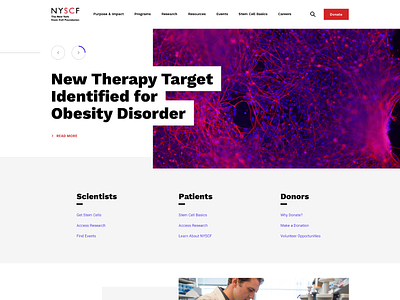 The New York Stem Cell Foundation - Homepage design homepage lab layout research science ui web