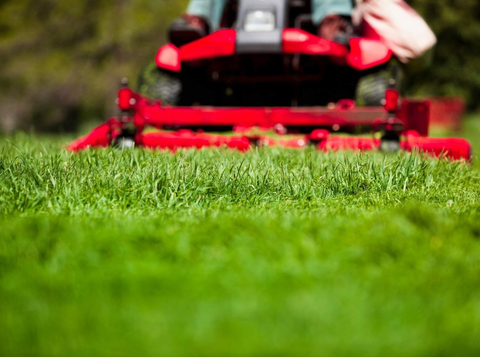 How to Maintain a Healthy Lawn? by Eden on Dribbble