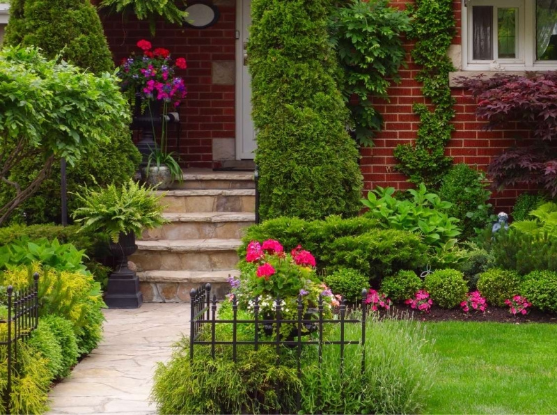 How to Make Your House Look Bigger by Eden on Dribbble