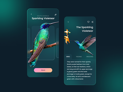 Explore The Jungle aesthetic app application business clean ui design ecommerce graphic design illustration landing page mobile app ui