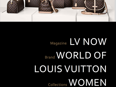 Download Louis Vuitton Women Bag Png Image HQ PNG Image