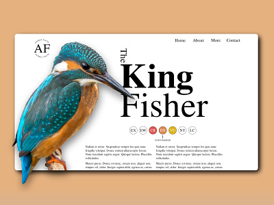 King Fisher Web Design design minimal typography ui design web web design