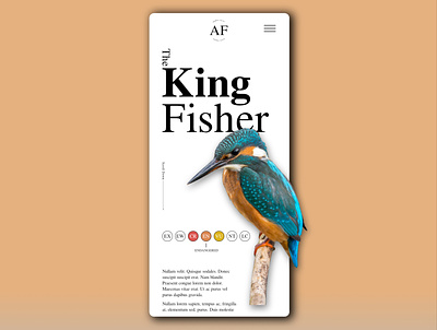 King Fisher Mobile Design design minimal mobile mobile design mobile ui typography ui design web web design