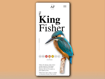 King Fisher Mobile Design