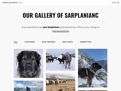Gallery shot of Sarplaninacs.com (Part One) design gallery minimal typography ui ui design web web design