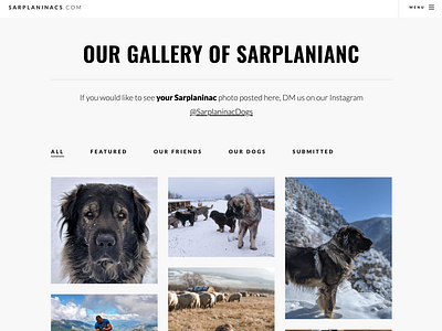 Gallery shot of Sarplaninacs.com (Part One)