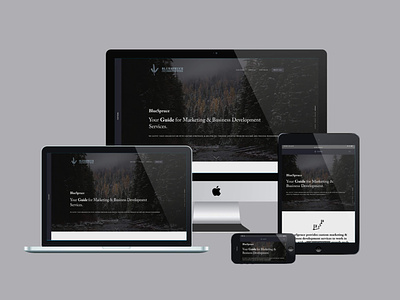 BlueSpruce Collaborative Studio Redesign branding design logo minimal rebrand redesign ui ui design web web design
