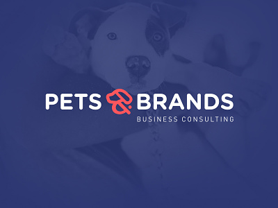 Pets & Brands | Rebranding brand brand identity branding branding and identity branding concept branding design design logo logodesign pets