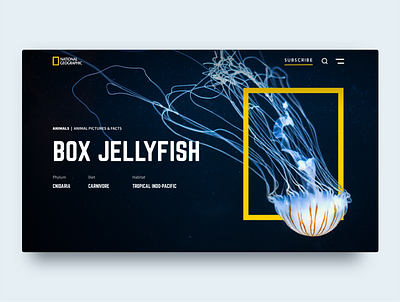 National Geographic Header dailyui national geographic ui ux web webdesign