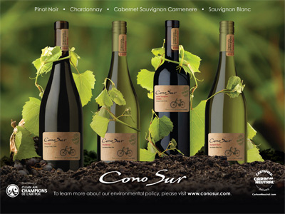 Cono Sur Organic wines