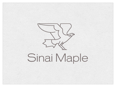 Sinai Maple Logo Concept 1 bird concept falcon leaf logo maple sinai