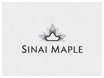 Sinai Maple Concept 2