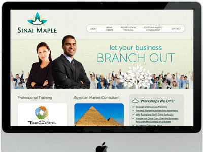 Sinai Maple branding website