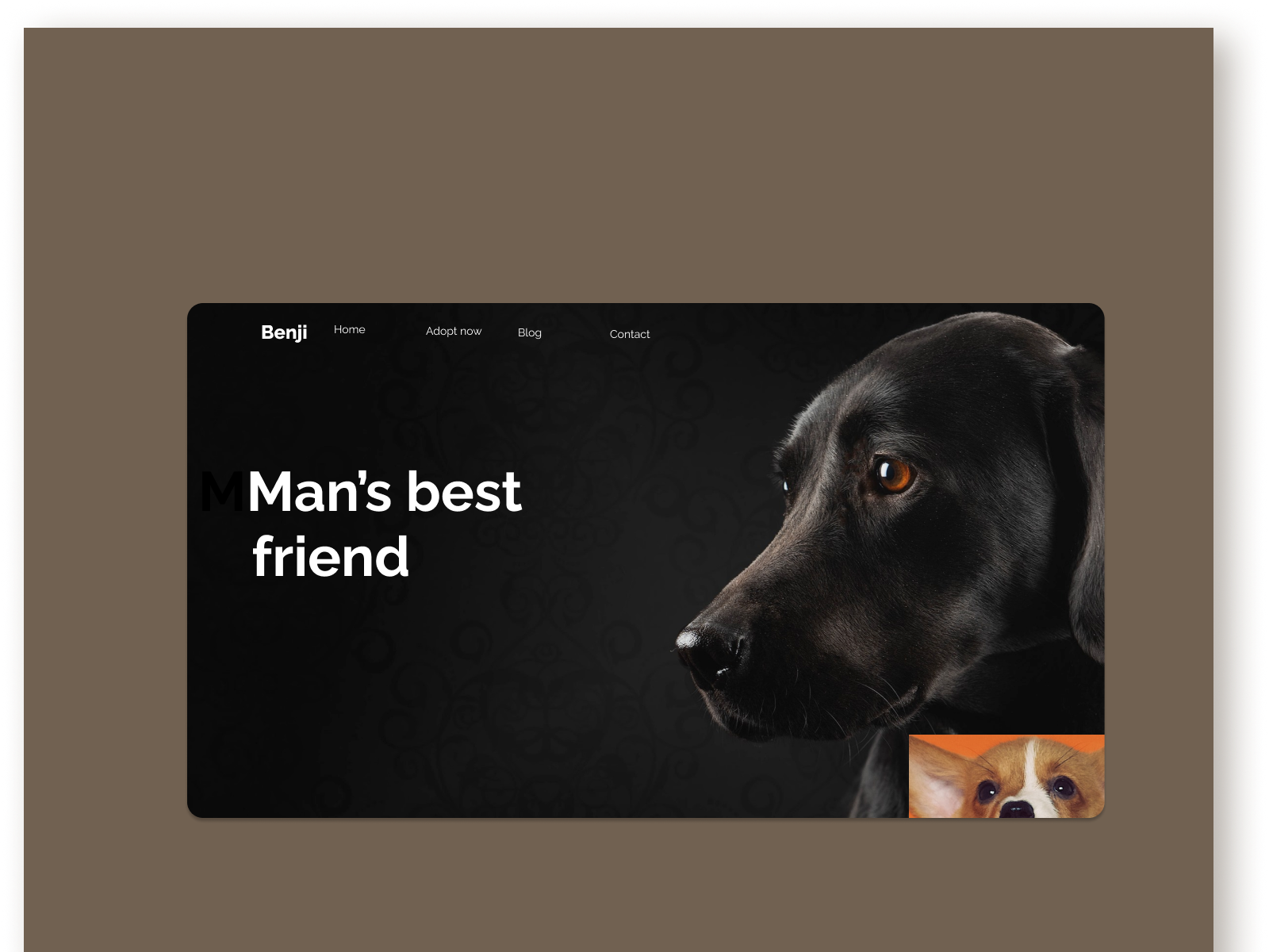 dog-pet-shop-landing-page-by-pamela-the-designer-on-dribbble