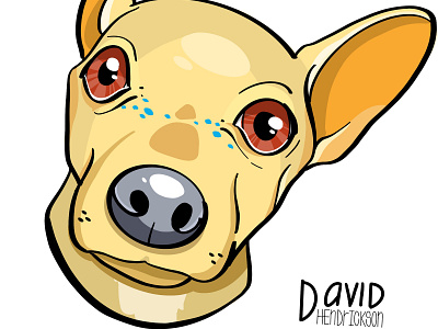 Ollie animals design dog graphic design illustration vector