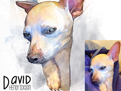 Watercolor of Ollie animals dog illustration watercolor