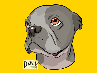 Ziggy animals dog graphic design illustration procreate vector