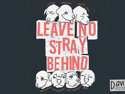 Leave no stray behind