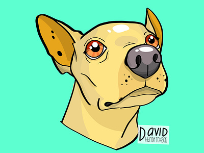 Oliver animals design dog graphic design illustration